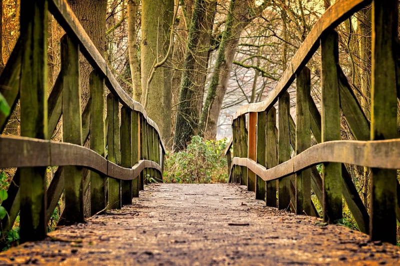 Garden Pathway