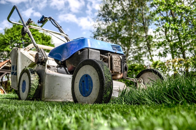 Gardening Image