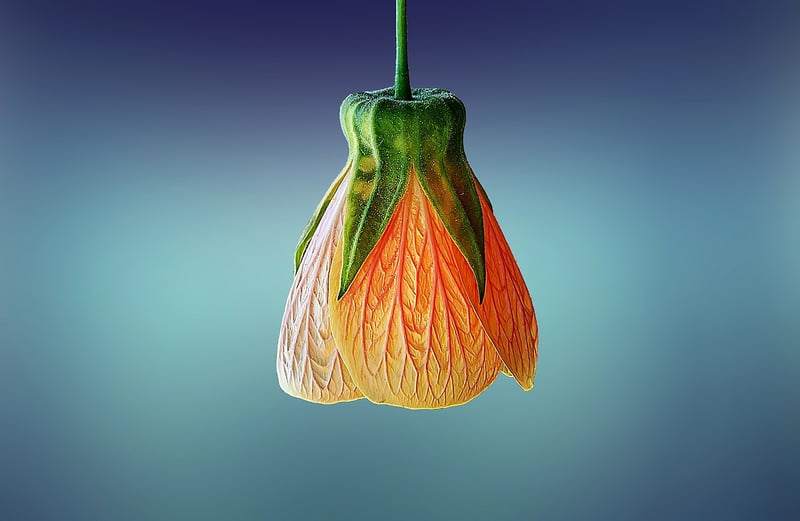 Hanging Plant Wall