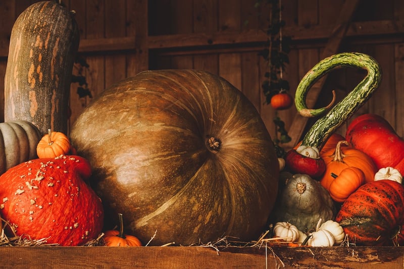 Autumn Pumpkins